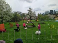 Agility v MŠ