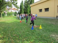 Cvičíme se Sokolem